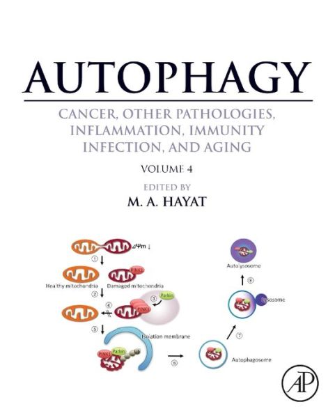 Cover for Autophagy · Autophagy: Cancer, Other Pathologies, Inflammation, Immunity, Infection, and Aging: Volume 4 Mitophagy (Hardcover Book) (2014)