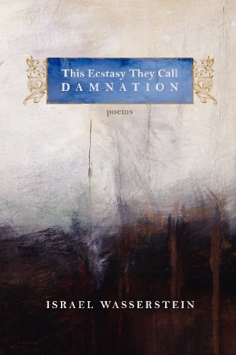 Cover for Israel Wasserstein · This Ecstasy They Call Damnation (Paperback Book) (2012)