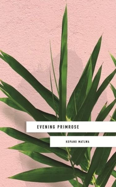 Cover for Kopano Matlwa · Evening Primrose: a heart-wrenching novel for our times (Pocketbok) (2018)