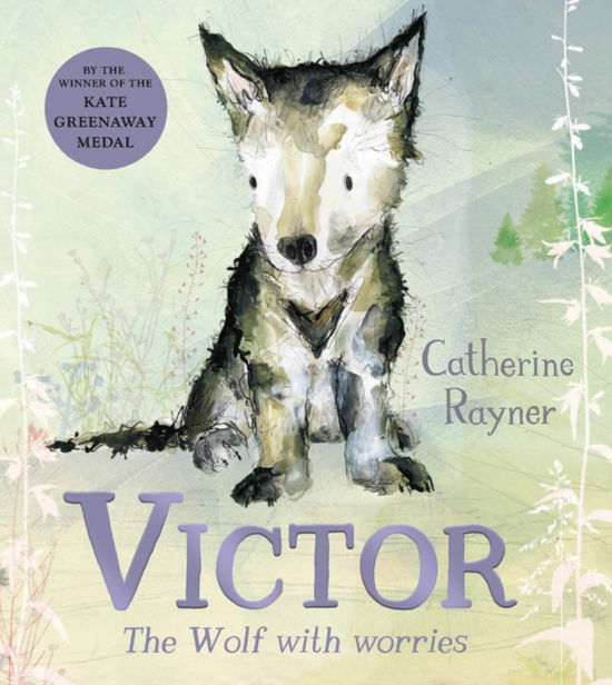 Victor, the Wolf with Worries - Catherine Rayner - Livros - Pan Macmillan - 9781529051285 - 27 de julho de 2023