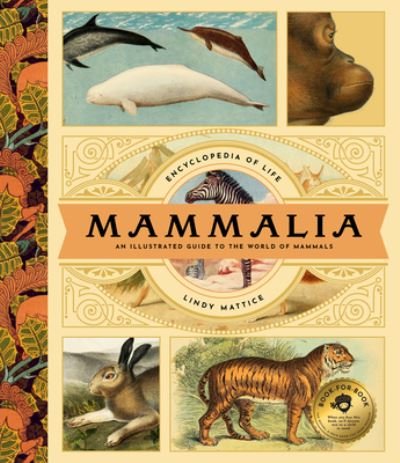 Lindy Mattice · Mammalia (Hardcover Book) (2024)