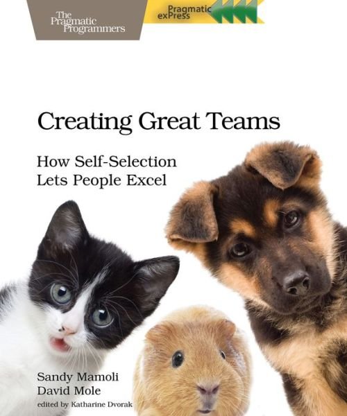 Cover for Sandy Mamoli · Creating Great Teams (Taschenbuch) (2015)