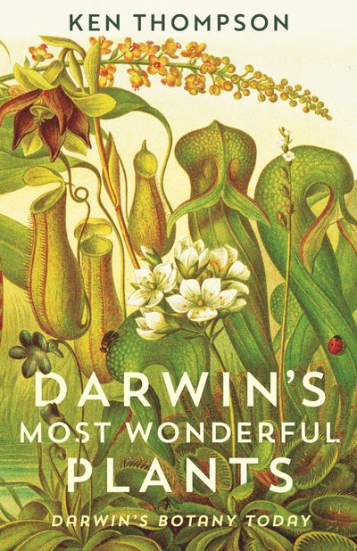 Cover for Ken Thompson · Darwin's Most Wonderful Plants (Hardcover Book) [Main edition] (2018)