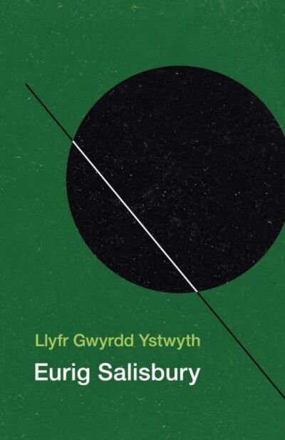 Cover for Eurig Salisbury · Llyfr Gwyrdd Ystwyth (Pocketbok) (2020)