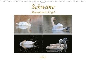 Cover for Bogner · Schwäne - Majestätische Vögel (W (Book)