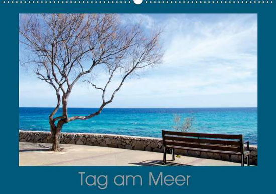 Cover for Witzel · Tag am Meer (Wandkalender 2021 D (Book)