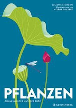 Cover for Hélène Druvert · Pflanzen (Book) (2023)