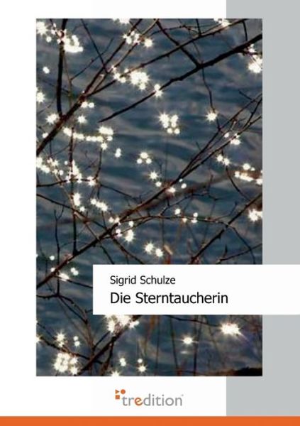 Cover for Sigrid Schulze · Die Sterntaucherin (Paperback Book) [German edition] (2008)