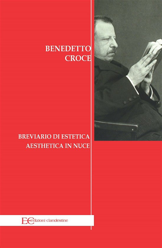 Cover for Benedetto Croce · Breviario Di Estetica. Aesthetica In Nuce (Book)