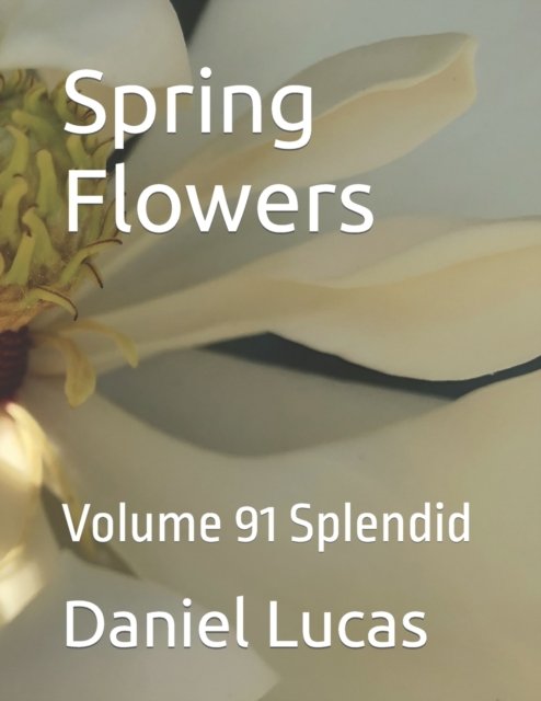 Cover for Daniel Lucas · Spring Flowers: Volume 91 Splendid (Paperback Bog) (2022)