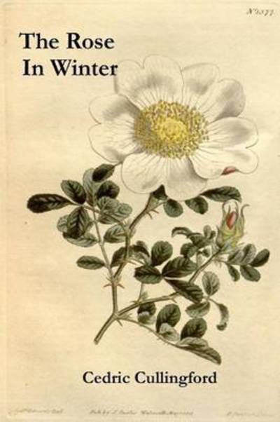 The Rose in Winter - Cedric Cullingford - Livros - Lulu.com - 9781326129286 - 2 de janeiro de 2015