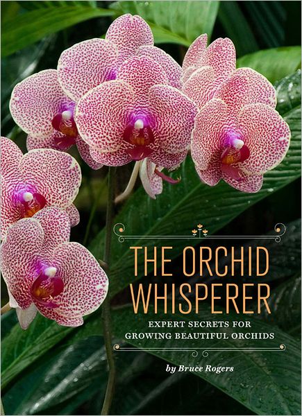 Cover for Bruce Rogers · Orchid Whisperer (Pocketbok) (2012)