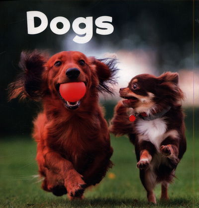 Dogs - Our Pets - Lisa J. Amstutz - Books - Capstone Global Library Ltd - 9781474754286 - April 4, 2019