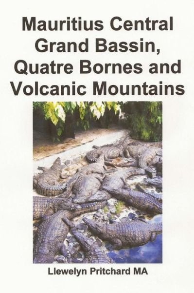 Cover for Llewelyn Pritchard · Mauritius Central Grand Bassin, Quatre Bornes and Volcanic Mountains: Een Souvenir Collection Van Kleuren Fotos Met Bijschriften (Pocketbok) (2014)