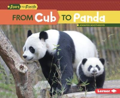 Cover for Jennifer Boothroyd · From Cub to Panda (Hardcover Book) (2016)