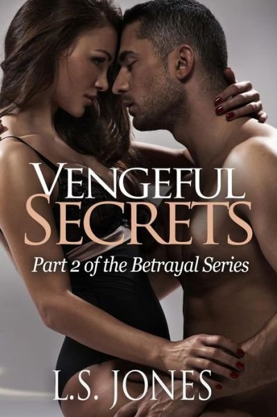 Cover for L S Jones · Vengeful Secrets (Paperback Book) (2015)