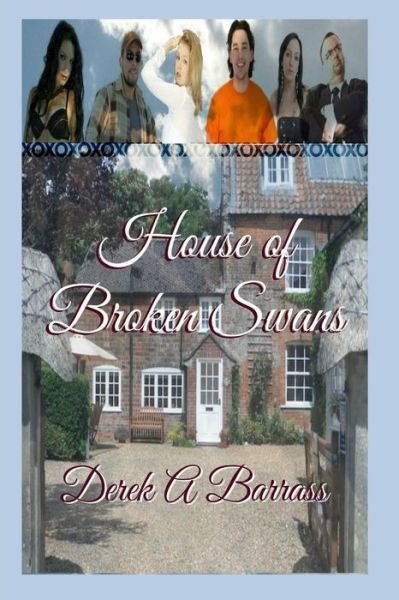 Cover for Derek A Barrass · House of Broken Swans (Paperback Bog) (2015)