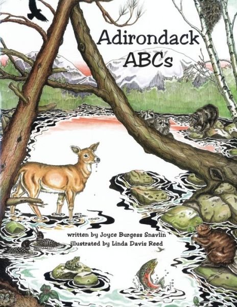 Cover for Joyce Burgess Snavlin · Adirondack ABCs (Buch) (2009)