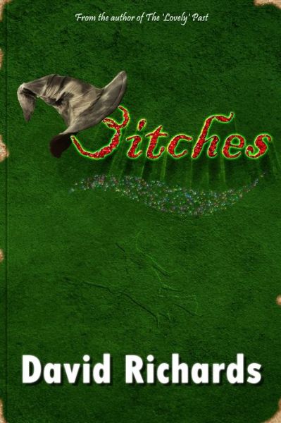 Cover for David Richards · Bitches (Pocketbok) (2019)