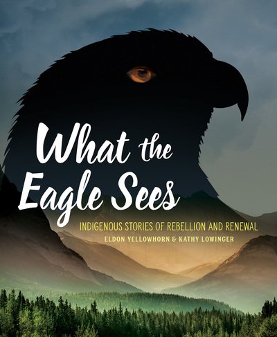 Cover for Eldon Yellowhorn · What the Eagle Sees: Indigenous Stories of Rebellion and Renewal (Paperback Book) (2019)