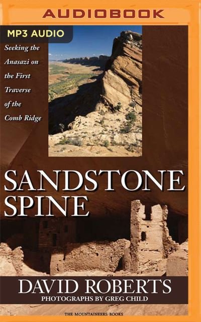 Sandstone Spine - David Roberts - Musikk - Brilliance Audio - 9781799727286 - 13. oktober 2020