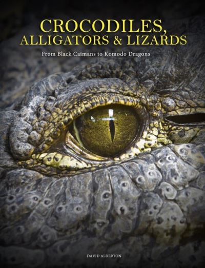 Cover for David Alderton · Crocodiles, Alligators &amp; Lizards: From Black Caimans to Komodo Dragons - Animals (Hardcover Book) (2024)