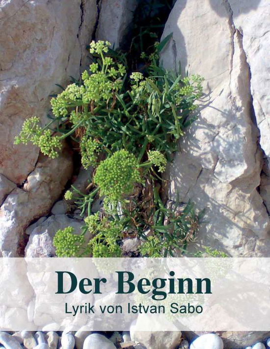 Cover for Sabo · Der Beginn (Book)