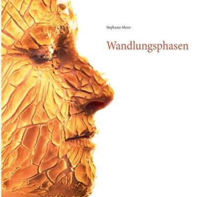 Cover for Menn · Wandlungsphasen (Book) (2020)