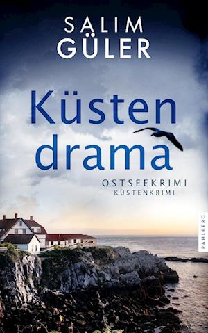 Cover for Salim Güler · Küstendrama (Book) (2024)