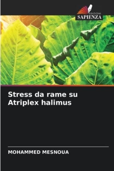 Cover for Mohammed Mesnoua · Stress da rame su Atriplex halimus (Paperback Book) (2021)