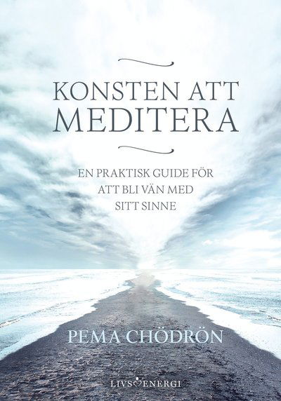 Cover for Pema Chödrön · Konsten att meditera : En praktisk guide för att bli vän med sitt sinne (Kort) (2019)