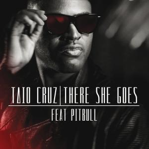 Cover for Taio Cruz · There She Goes (SCD) (2012)