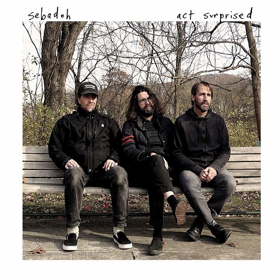 Cover for Sebadoh · Act Surprised (CD) (2019)