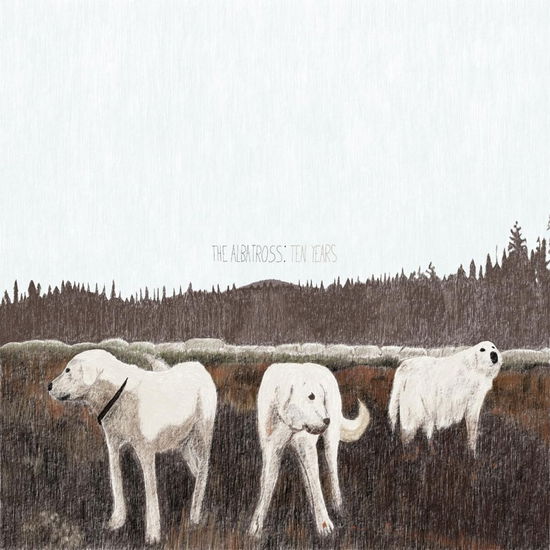 Albatross: Ten Years - Foxing - Musik - MANY HATS - 0843563165287 - 3. November 2023