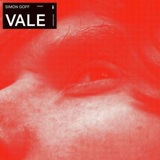 Cover for Simon Goff · Vale (LP) (2021)