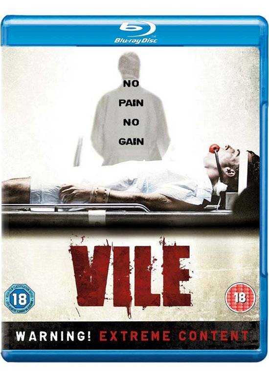 Cover for Vile (Blu-ray) (2013)