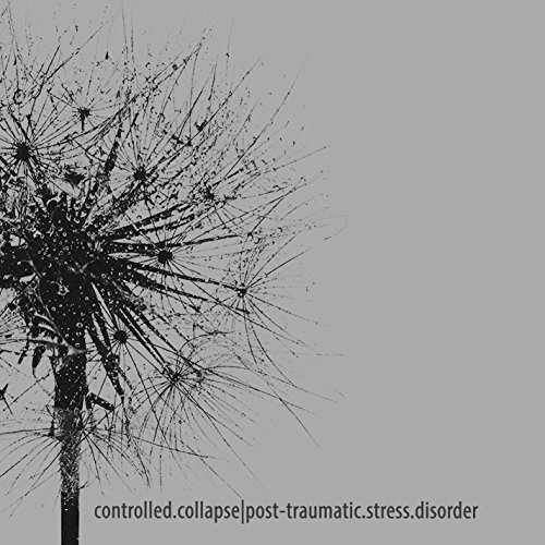 Cover for Controlled.collapse · Controlled.Collapse: Post-Traumatic.Stress.Disorder (CD) (2017)