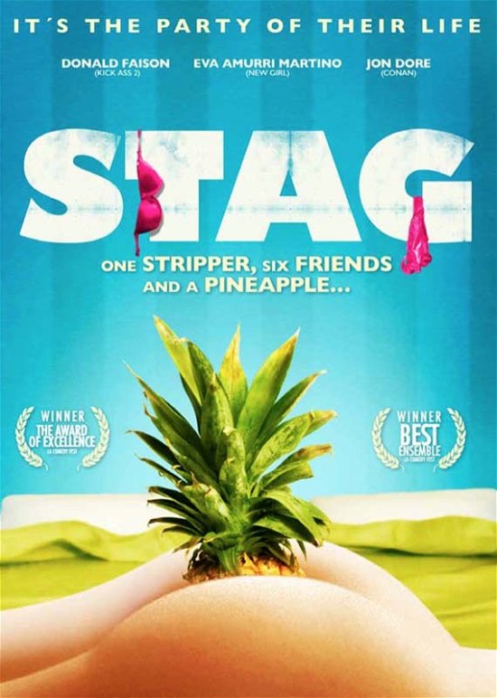 Cover for Stag (DVD) (2011)