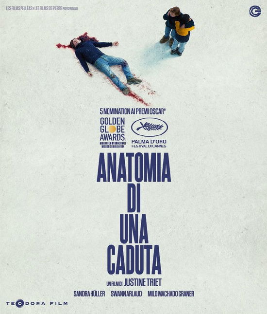 Cover for Anatomia Di Una Caduta (Blu-ray) (2024)