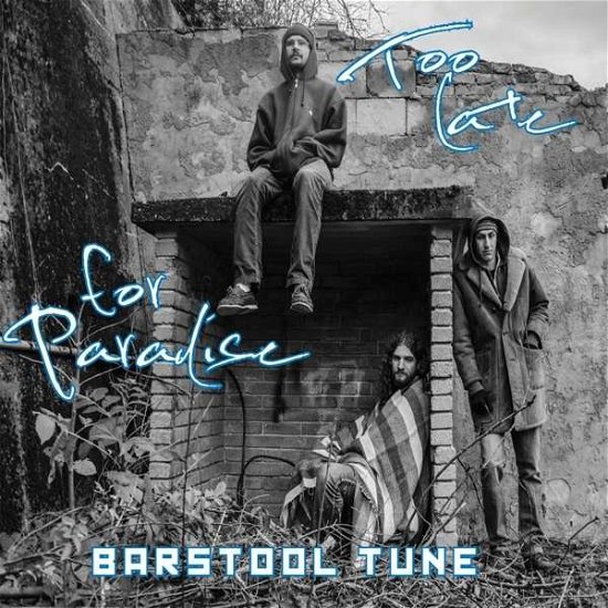 Too Late for Paradise - Barstool Tune - Music - NOICE - 9120068520287 - November 8, 2019