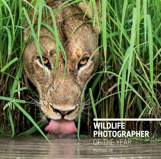 Cover for Rosamund Kidman Cox · Wildlife Photographer of the Year: Portfolio 28 - Wildlife Photographer of the Year (Hardcover Book) (2018)