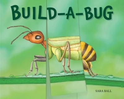 Cover for Sara Ball · Build-a-Bug - Flip-and-Flop (Board book) (2022)