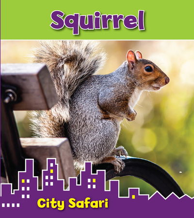 Cover for Isabel Thomas · Squirrel: City Safari - Read and Learn: City Safari (Hardcover Book) (2014)