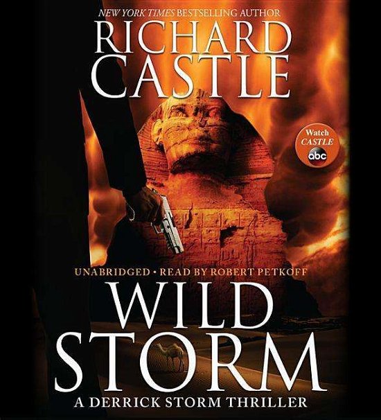 Cover for Richard Castle · Wild Storm: a Derrick Storm Thriller (CD) (2015)