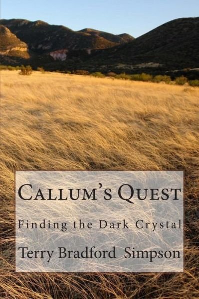 Cover for Terry Simpson · Callum's Quest (Paperback Book) (2013)