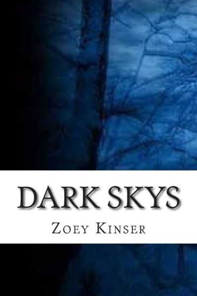 Cover for Zoey Danielle Kinser · Dark Skys (Paperback Book) (2014)