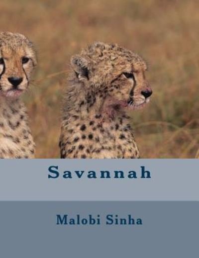 Cover for Malobi Sinha · Savannah (Paperback Book) (2015)