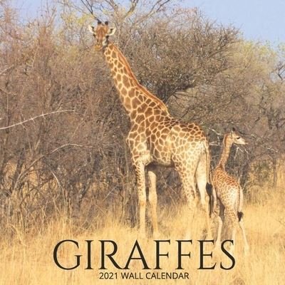 Cover for Llama Bird Press · Giraffes 2021 Wall Calendar (Paperback Bog) (2021)