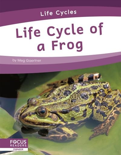Cover for Meg Gaertner · Life Cycles: Life Cycle of a Frog (Hardcover Book) (2021)