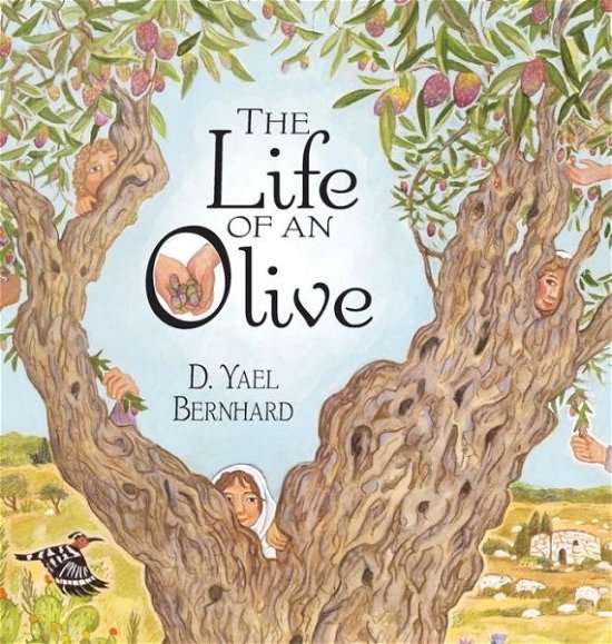 Cover for D Yael Bernhard · The Life of an Olive (Hardcover bog) (2016)